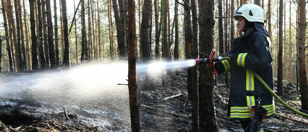 Feuerwehr löscht Brand in der Nähe von Groß Kreutz (Kreis Potsdam-Mittelmark)