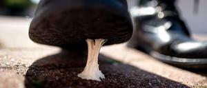 Wer kennt das nicht?