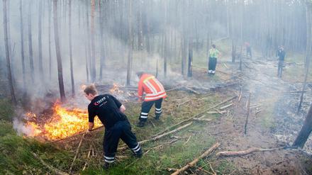 Wegen der anhaltenden Trockenheit hatte die Berliner Feuerwehr eine Waldbrandwarnung für Berlin und Brandenburg herausgegegeben.