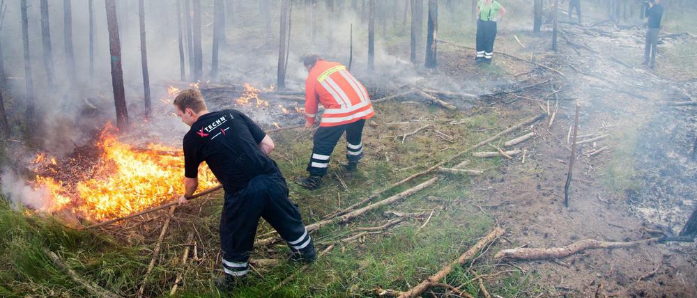 Wegen der anhaltenden Trockenheit hatte die Berliner Feuerwehr eine Waldbrandwarnung für Berlin und Brandenburg herausgegegeben.