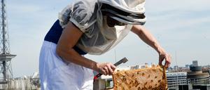 Eine Hobbyimkerin auf einem Dach auf dem Berliner Messegelände.