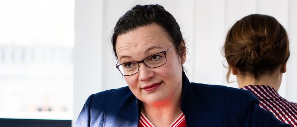 Andrea Nahles, Vorsitzende der SPD