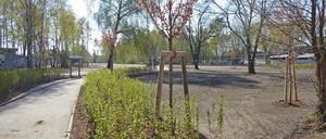 Blick in den neuen Park von der Kopenhagener Straße aus.