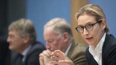 Fraktionschefin Alice Weidel - mit den Parteichefs Alexander Gauland (m) und Jörg Meuthen (l).