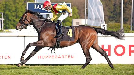 Be my Sheriff mit Lukas Dolezier siegt im "Preis von Dahlwitz".