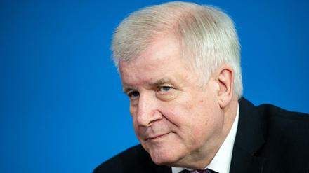 Horst Seehofer sei der SPD zu weit entgegengekommen, kritisiert die Werteunion.
