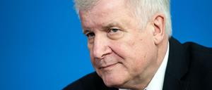 Horst Seehofer sei der SPD zu weit entgegengekommen, kritisiert die Werteunion.