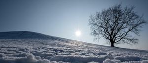 Schnee und Eiskristalle als Symbol der Unverfügbarkeit.