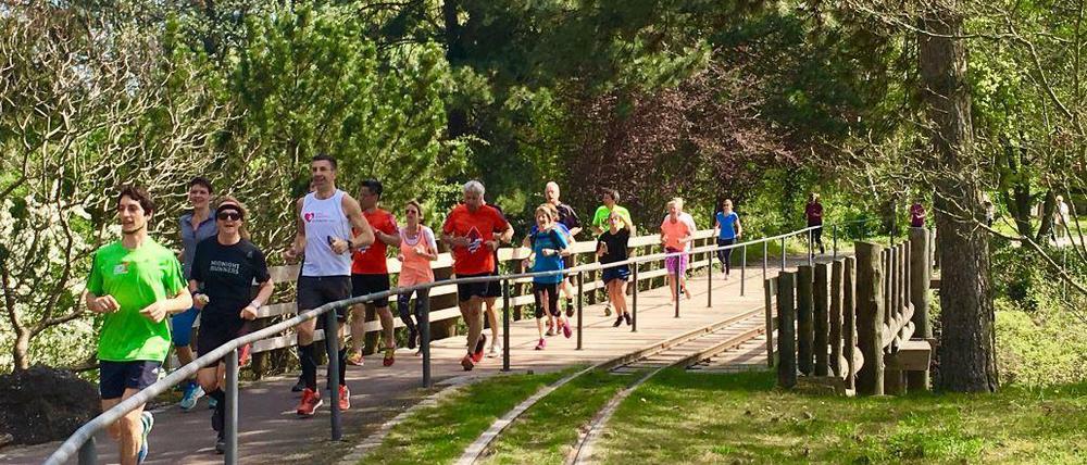 In Turnschuhen durch die Stadt. Die Checkpoint-Laufgruppe im Britzer Garten.