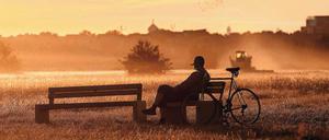 Der heiße Sommer des Jahres 2018 hat viele erfreut. Doch schon damals litten Pflanzen und Tiere unter extremer Trockenheit. Und Experten warnten, dass viele Auswirkungen erst im nächsten Frühjahr zu spüren sein werden. Jetzt ist es soweit.