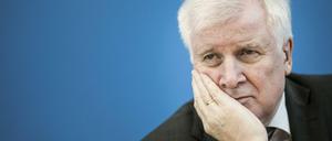 Bundesminister gegen Berliner Aktivisten: Horst Seehofer (CSU).