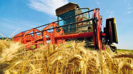 Heiße, regenarme Sommer wie im vergangenen Jahr machen Landwirten zu schaffen. 