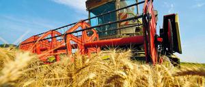 Heiße, regenarme Sommer wie im vergangenen Jahr machen Landwirten zu schaffen. 