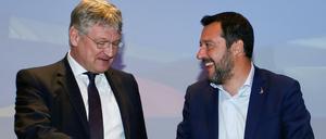 Hand drauf! Matteo Salvini (r.) und Jörg Meuthen (AfD) in Mailand. 