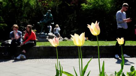Spaziergänger im Viktoriapark in Berlin-Kreuzberg.