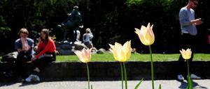 Spaziergänger im Viktoriapark in Berlin-Kreuzberg.