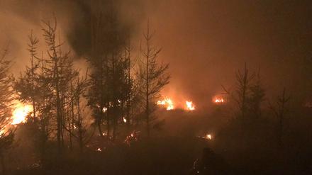 Flammen lodern im Seulingswald im Landkreis Hersfeld-Rotenburg. 400 Einsatzkräfte waren an den Löscharbeiten beteiligt. 