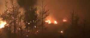 Flammen lodern im Seulingswald im Landkreis Hersfeld-Rotenburg. 400 Einsatzkräfte waren an den Löscharbeiten beteiligt. 