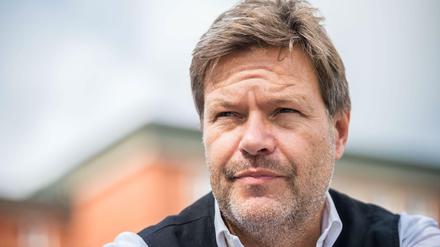 Robert Habeck, Bundesvorsitzender der Grünen.