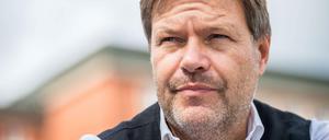 Robert Habeck, Bundesvorsitzender der Grünen.