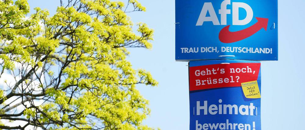 Plakate der AfD zur Europawahl.