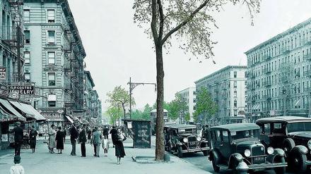 Aufbäumen. New York nahm sich Berlin zum Vorbild, um Straßen grüner und gesünder zu gestalten. Heute kämpfen beide Städte um den Erhalt der Stadtbäume. 