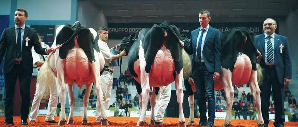 „Das System Milch“ zeigt auch die erschreckenden Seiten einer globalisierten Milchwirtschaft. Dafür gab es 2018 den Deutschen Wirtschaftsfilmpreis.