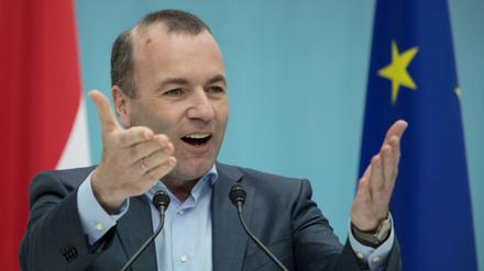 Manfred Weber, Spitzenkandidat von konservativen Parteien