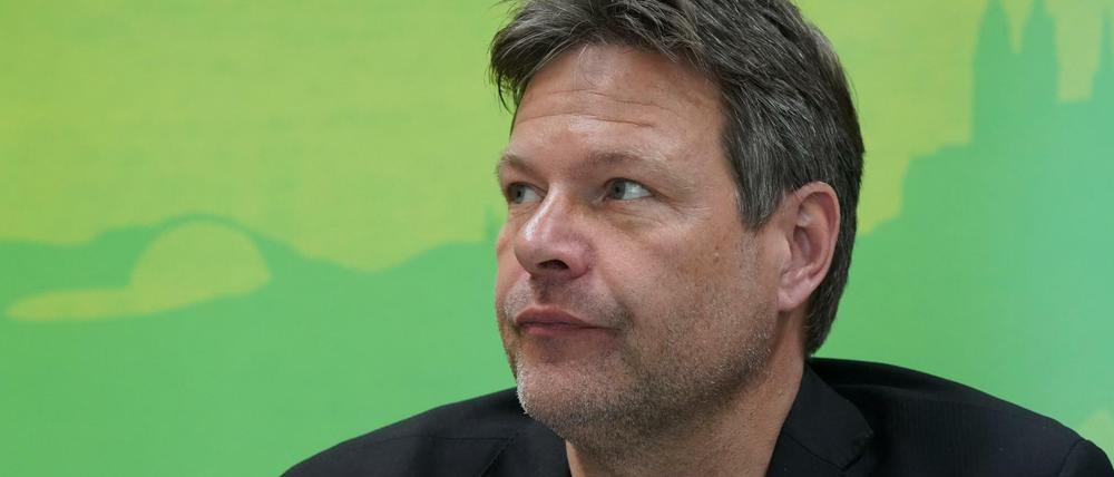 Der Parteivorsitzende der Grünen Robert Habeck.
