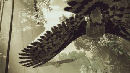 Adlerblick. Der virtuelle Regenwald umfasst 7500 Pflanzenarten.