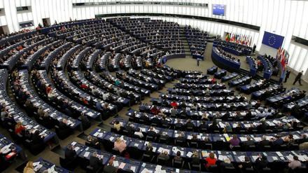In den 28 EU-Staaten wird zwischen dem 23. und 26. Mai über die Zusammensetzung des Europaparlaments entschieden.