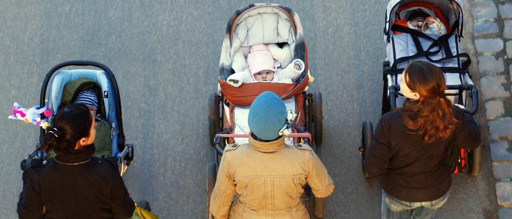 Drei junge Mütter schieben ihre Babys im Kinderwagen bei einem gemeinsamen Spaziergang.