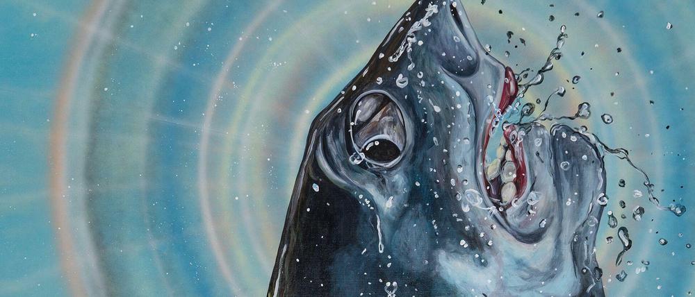 Flosse hoch. Ein bisschen psychedelisch geht auch. Ein Bild aus der Reihe "The Great White Fear".