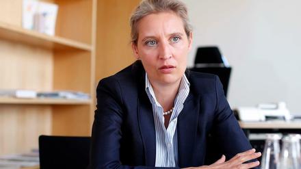 AfD-Fraktionschefin Alice Weidel beim Interview.