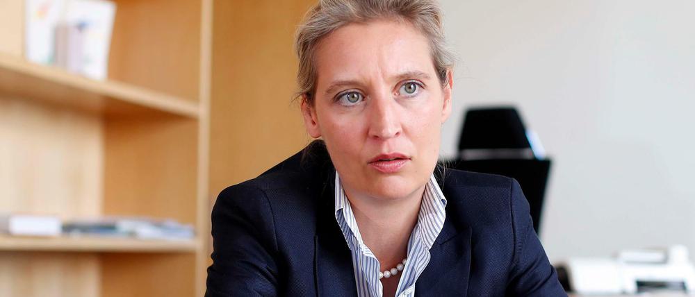 AfD-Fraktionschefin Alice Weidel beim Interview.