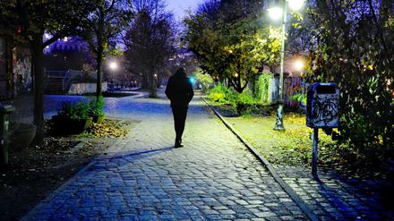 Im Görlitzer Park kam es zu einem Gewaltvorfall (Symbolbild).
