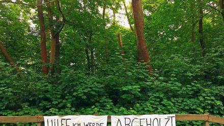 Protest. Deutscher Wald oder Flüchtlingsheim – diese Frage beschäftigt die Menschen in Zehlendorf.