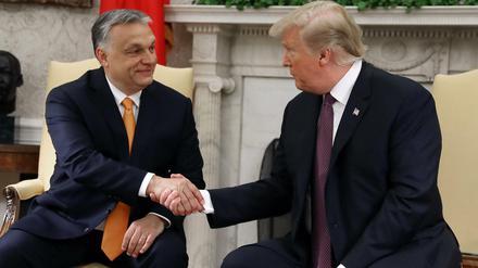 Bestes Einvernehmen: US-Präsident Trump mit seinem ungarischen Gast Viktor Orban 