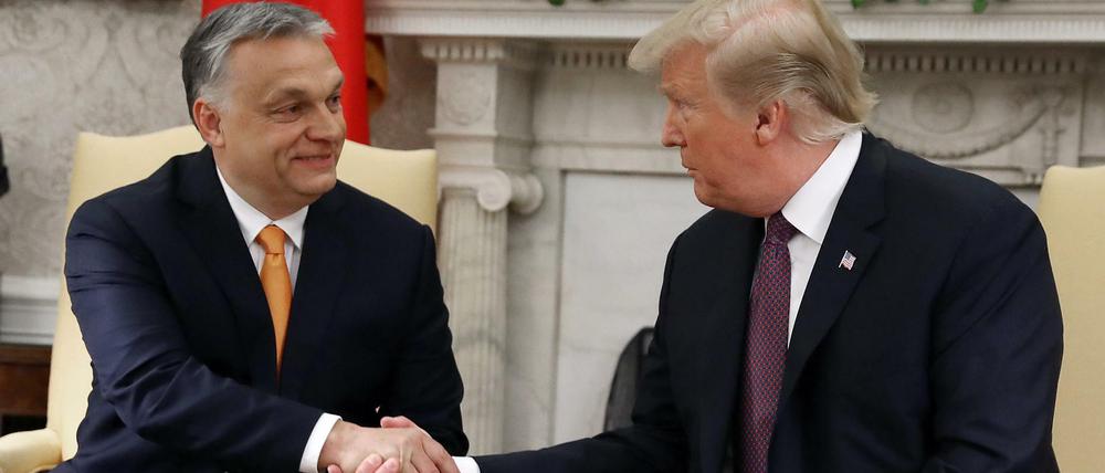 Bestes Einvernehmen: US-Präsident Trump mit seinem ungarischen Gast Viktor Orban 