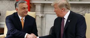 Bestes Einvernehmen: US-Präsident Trump mit seinem ungarischen Gast Viktor Orban 