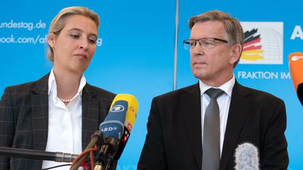 Alice Weidel, Fraktionsvorsitzende, Gerold Otten, Kandidat der AfD für das Amt eines weiteren Vizepräsidenten des Bundestages, und Alexander Gauland, Fraktionsvorsitzender.
