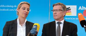 Alice Weidel, Fraktionsvorsitzende, Gerold Otten, Kandidat der AfD für das Amt eines weiteren Vizepräsidenten des Bundestages, und Alexander Gauland, Fraktionsvorsitzender.