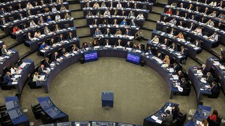 Das Europäische Parlament im Fokus von Pro7? Das klingt unglaublich.