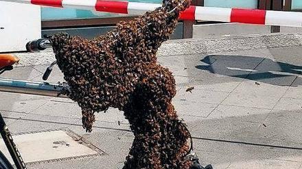 Schloss der Königin. Bienen sind bei Rastplätzen nicht wählerisch.