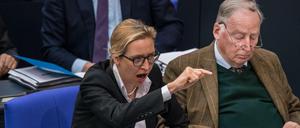 Alice Weidel und Alexander Gauland