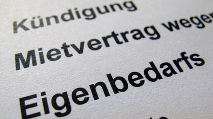 Der Bundesgerichtshof entscheidet über Eigenbedarfskündigungen.