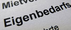 Der Bundesgerichtshof entscheidet über Eigenbedarfskündigungen.
