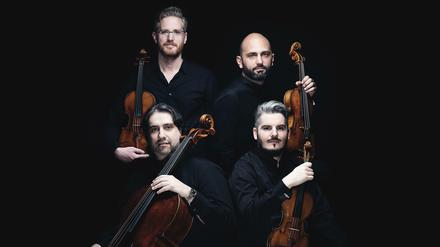 Back to the Roots. Das Quartetto di Cremona will in Zukunft mehr Werke von italienischen Komponisten spielen. 
