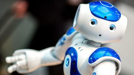 Der für Bildungszwecke programmierte Roboter "Miki"