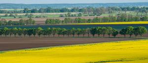 ...und weit und breit keine Menschenseele.